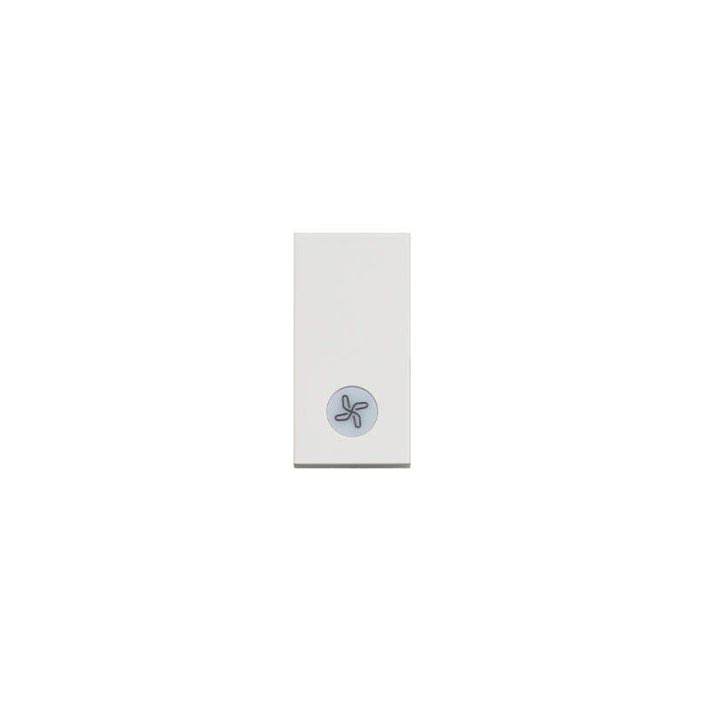 29031
